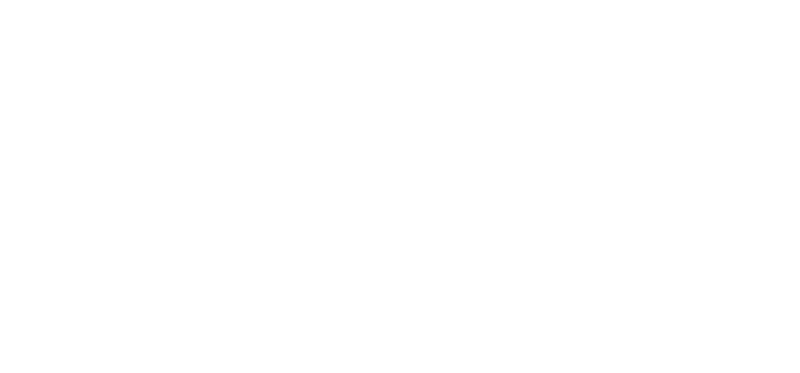 Cars and Bids